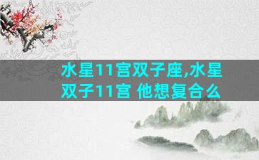 水星11宫双子座,水星双子11宫 他想复合么